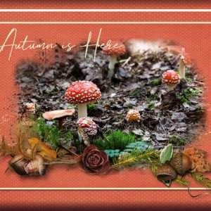ATC 2020-011 Autumn is Here