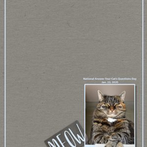 Meow