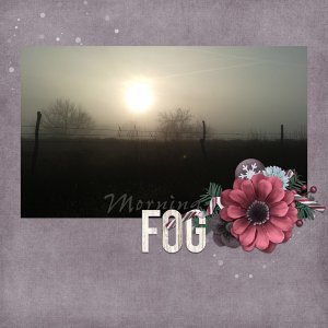 Morning Fog