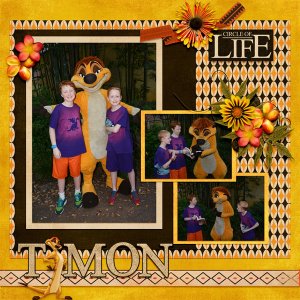 2018 02 Timon