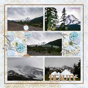 Mt. Hood views