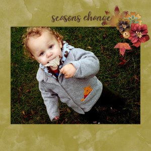 Seasons Change