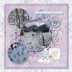 Winter Wonderland