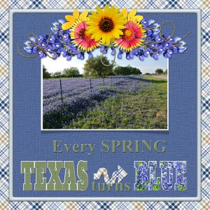 Every SPRING TEXAS turns BLUE