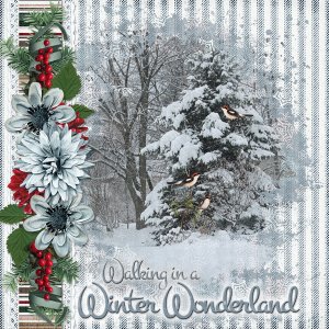Walking in a Winter Wonderland