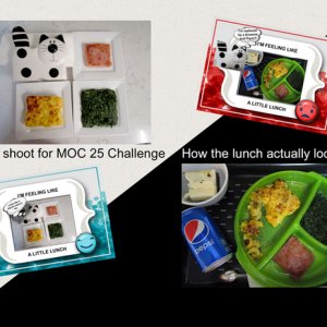 The Making of an MOC Challenge