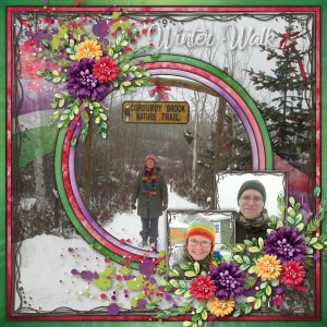 Winter Walk