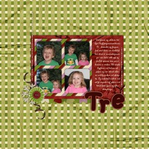 Christmas photos