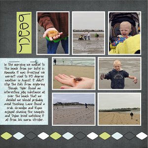 Beach in Alameda Page 1