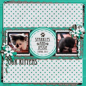 SnS-Kittens