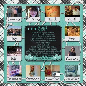 2011 A Year in review
