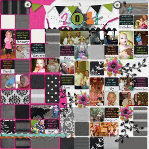 2011 Year in Review