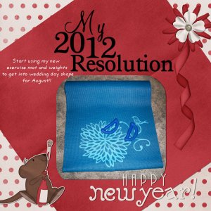 New Year's Resolution 2012