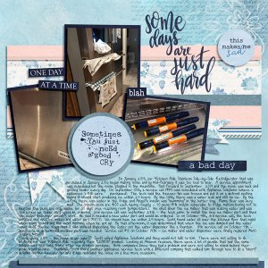 Ice Maker/Refridgerator Issues 2019