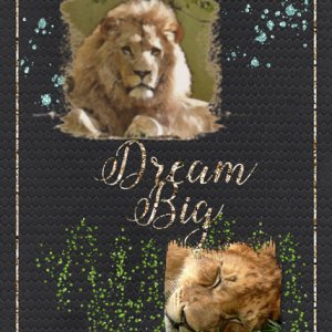ATC 2020-016 Dream Big