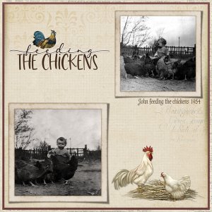 John feeding chickens 1954