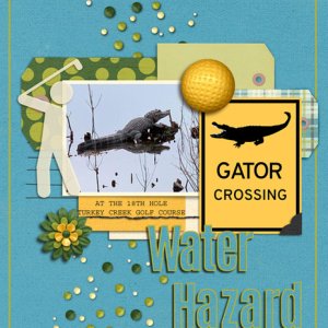Water Hazard