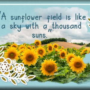 ATC 2020-017 A Sunflower Field
