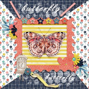 Butterfly