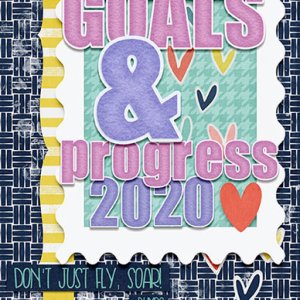 2020 Goals + Progress