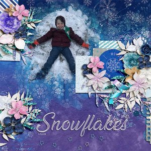 snowjan2020