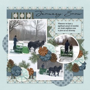 January Snow