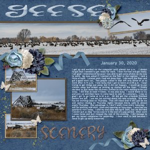 1-January_30_2020_small