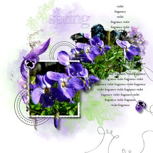 Violet fragrance