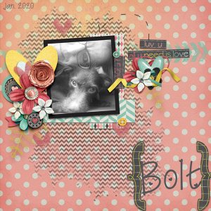 Bolt