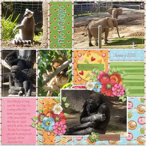 Zoo 1