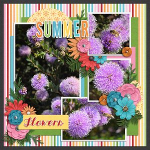 summer flowers