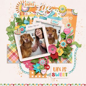 Happy Life