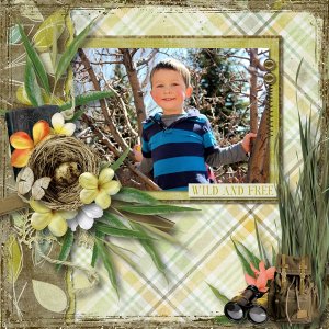 Caleb in a Tree
