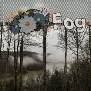 Fog