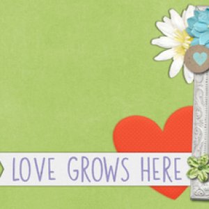 February 2020 FB Header