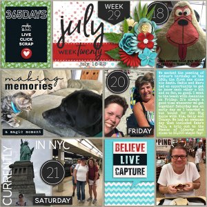 P52 Week 29 2018