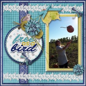 Designer Spotlight Challenge - February 2020