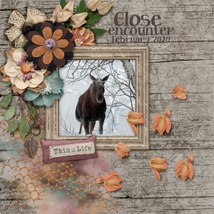 Close-encounter1