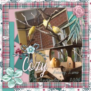 Cozy Canaries