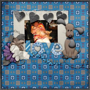 DD-AG-puppylove-Pippin-01