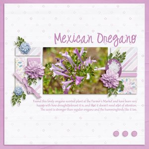Mexican Oregano - Designer Spotlight