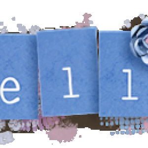 Feb 2020 Siggy