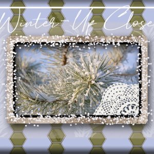 Winter - Up Close