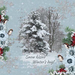 Snow kissed winter