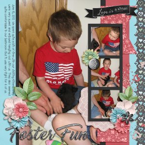 Foster Fun