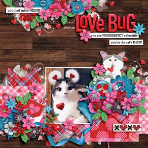 love bug