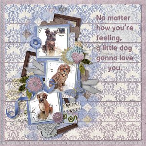 Dogs Love