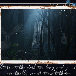 A Walk in the Woods