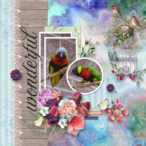 A Blessing of Birdsong