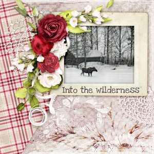 Into-the-wilderness